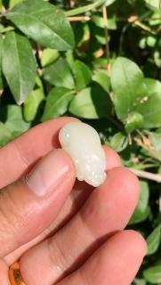 和田玉籽料,精雕貔貅,天然皮色留有毛孔,玉质细腻油润,包金戒指很出彩